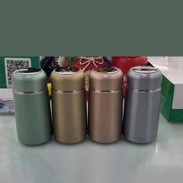 Hot & Cool Stainless Steel Travel Infuser Flask